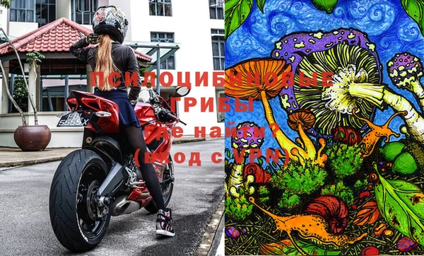 apvp Балахна