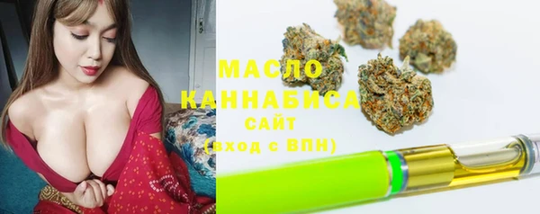 хмурый Арсеньев