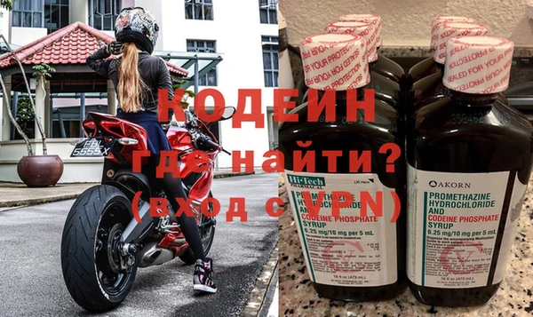 хмурый Арсеньев