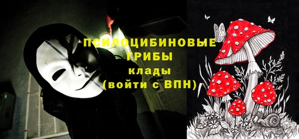 apvp Балахна