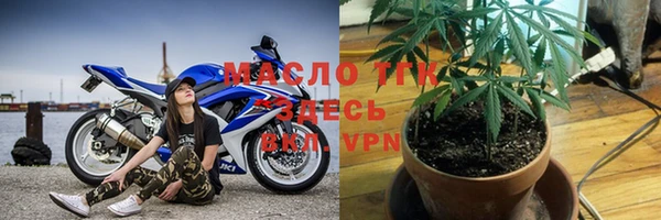 хмурый Арсеньев